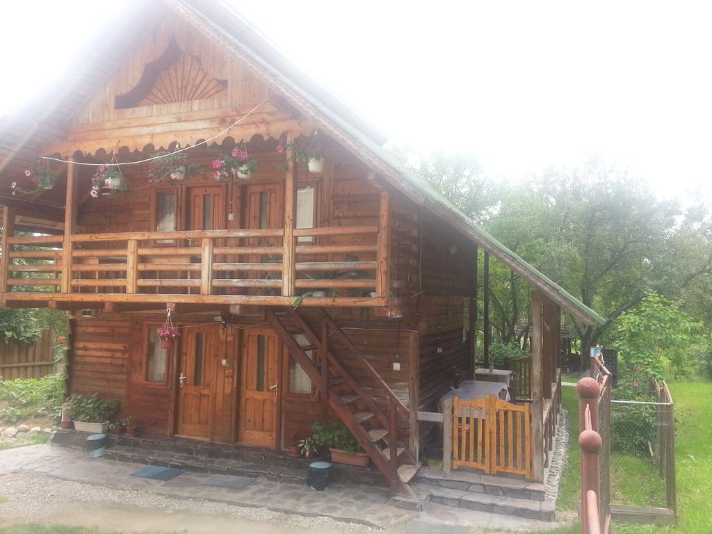 Hotel Delia Ocna Şugatag Exterior foto